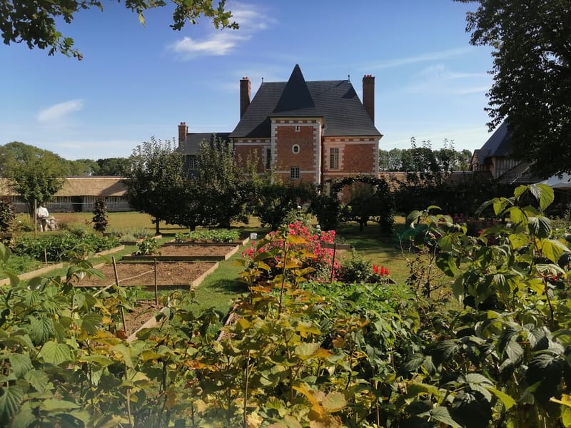 Des nouvelles de la fête de l'automne