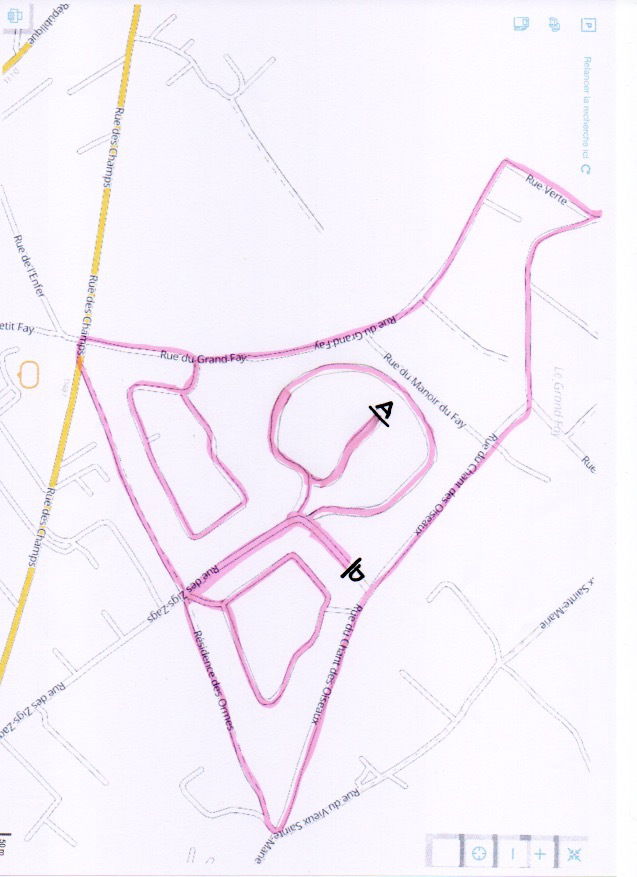 Les foulées pédestres du Manoir en partenariat avec l'AYA