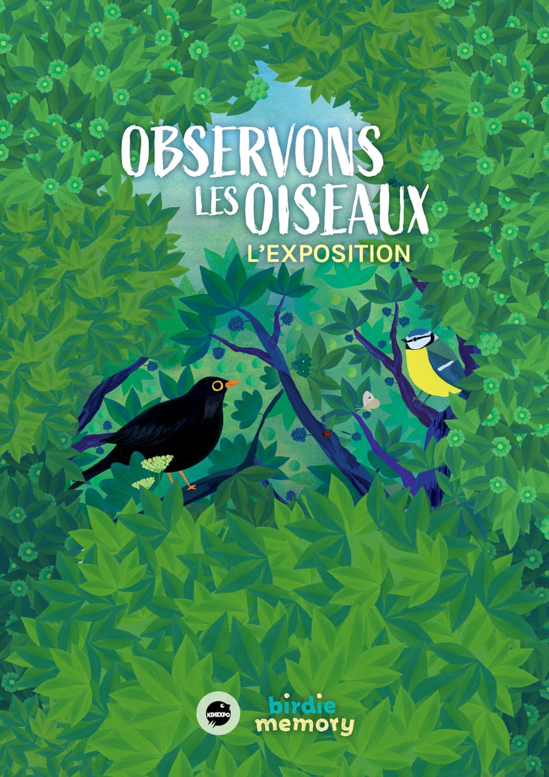 Exposition "Observons les oiseaux"
