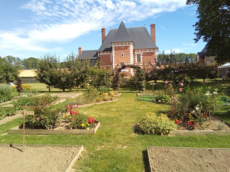 Calendrier des activités 2024