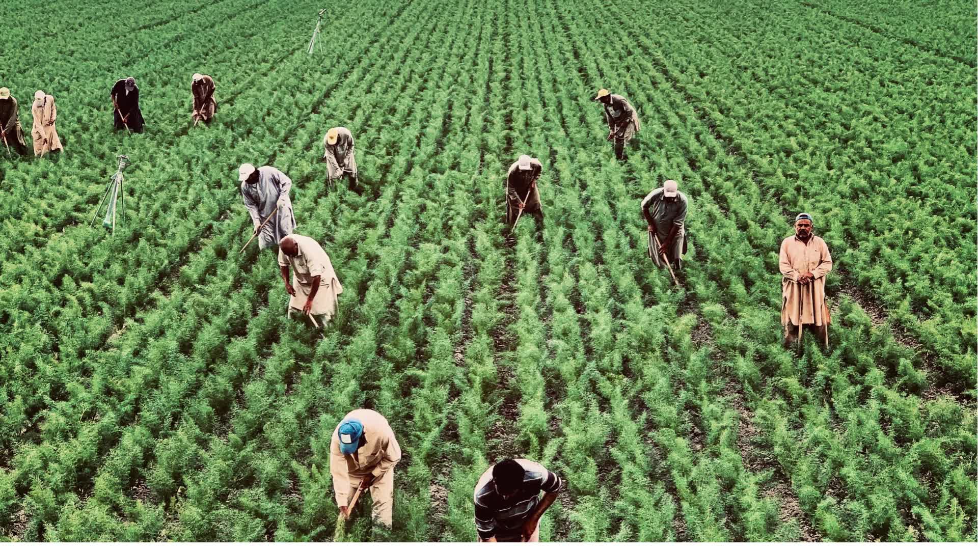 {{trans:0b6cbdf7ad2928078f1600a3e8979485_1}} video thumbnail