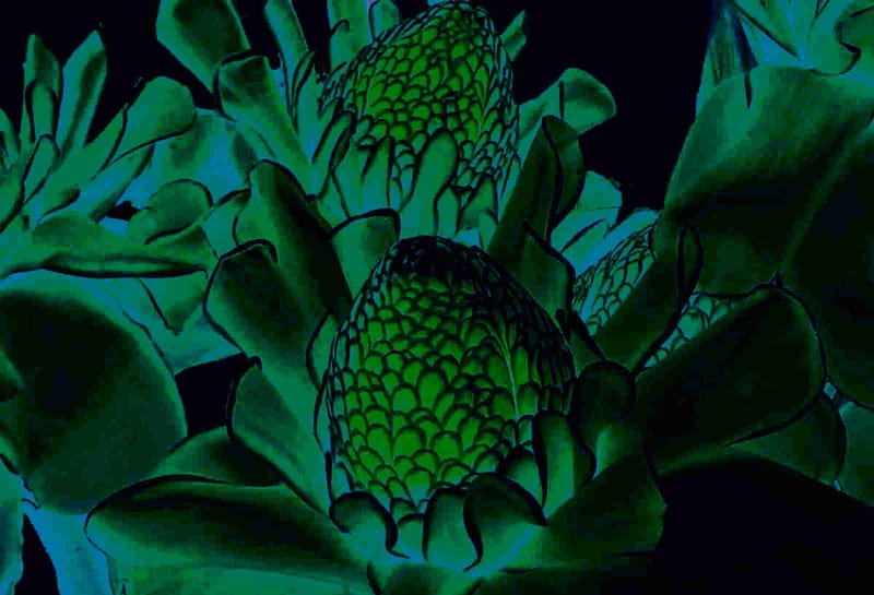 ESTE HOMBRE QUE ME INVENTO