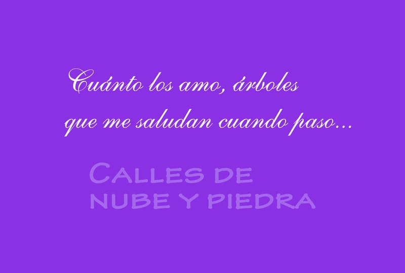 CALLES DE NUBE Y PIEDRA
