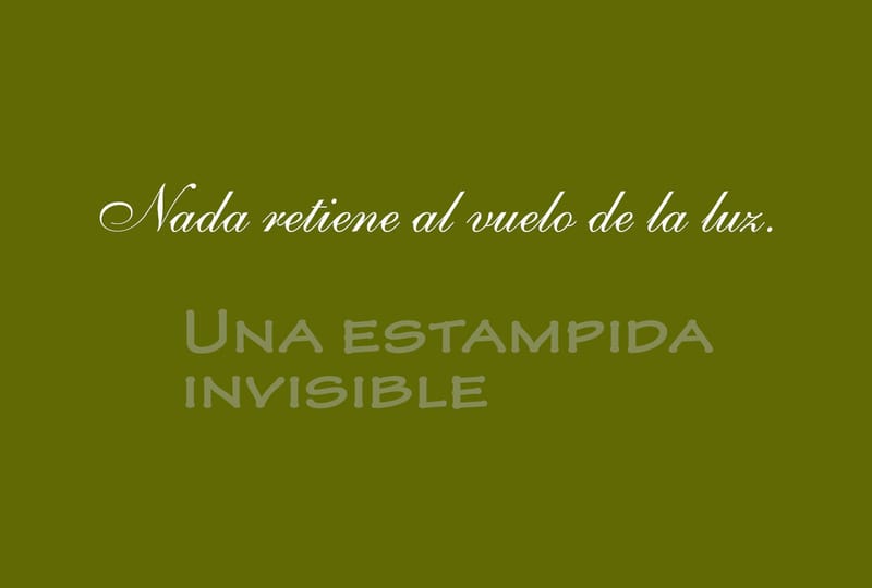 LA ESTAMPIDA INVISIBLE