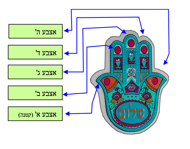 סמל הַחֲמְשָׂה-אמת או מיתוס?