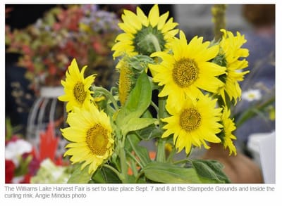 Mark your calendars for this weekend’s harvest fair