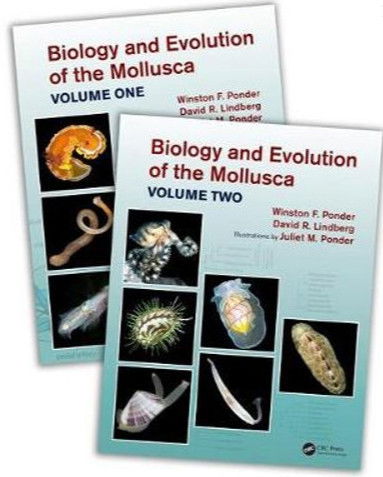 Molluscan biology and evolution - a summary of what we know image