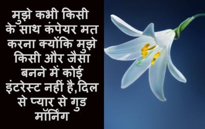 Love Shayari vest