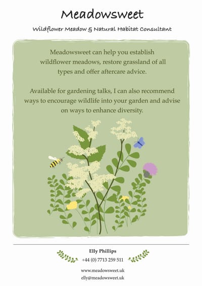 Meadowsweet Aim image