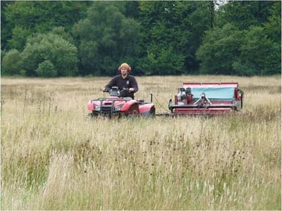Coronation Meadow image
