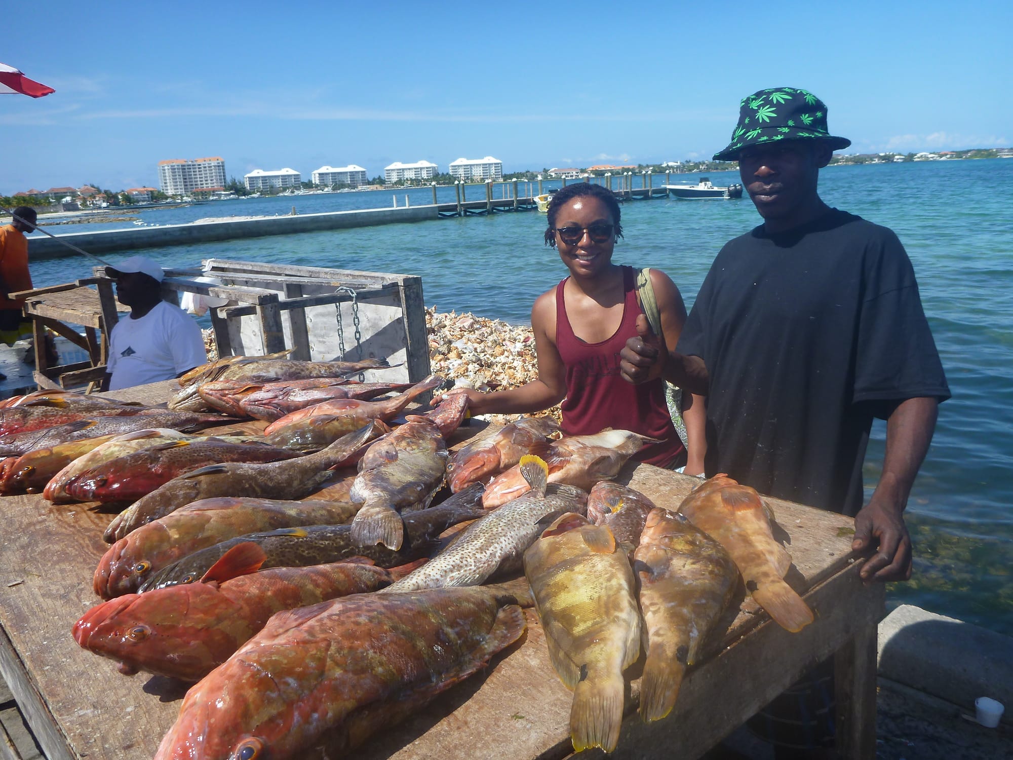 An Ocean Mystery: The Missing Catch