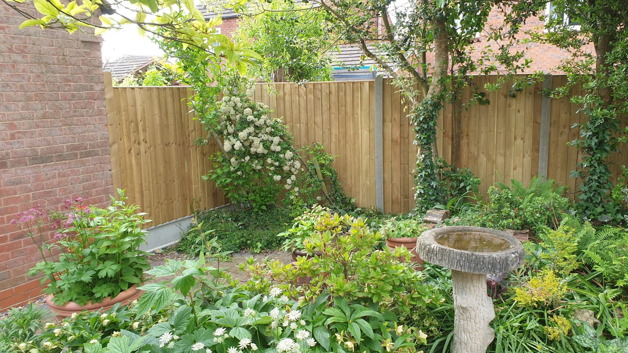 5' Featheredge Standard Panels with Concrete Posts and Gravel Boards