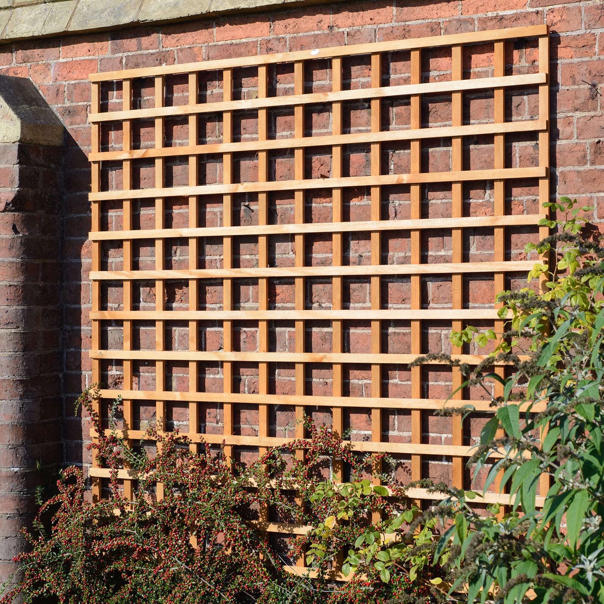 Heavy Duty Trellis