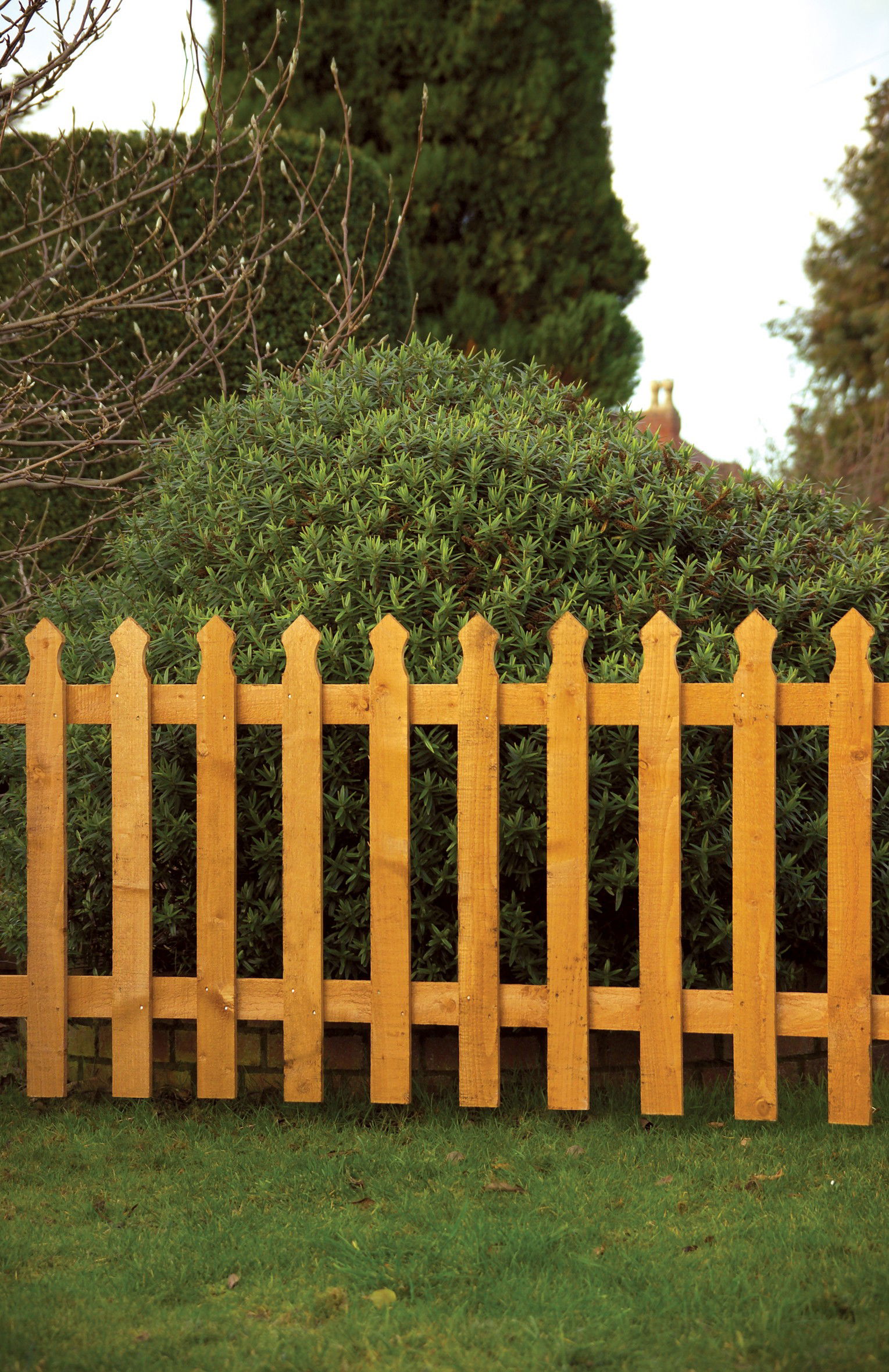 Palisade Tulip Gate