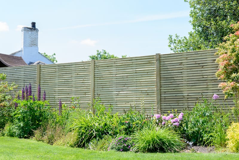 Domestic Fencing & Trellis'