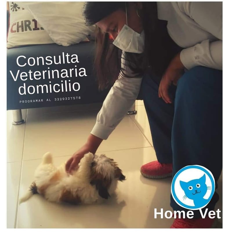 CONSULTA  VETERINARIA