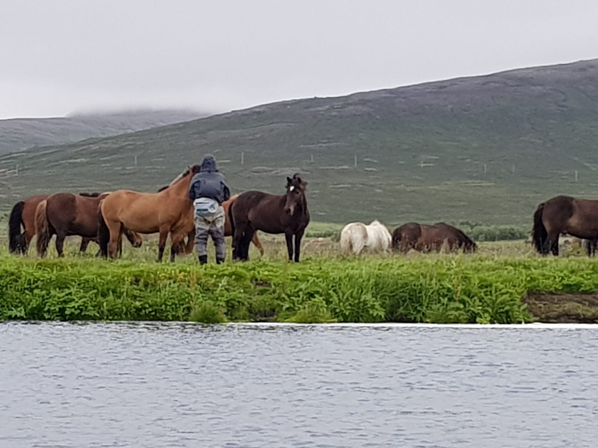 Fishing in Iceland