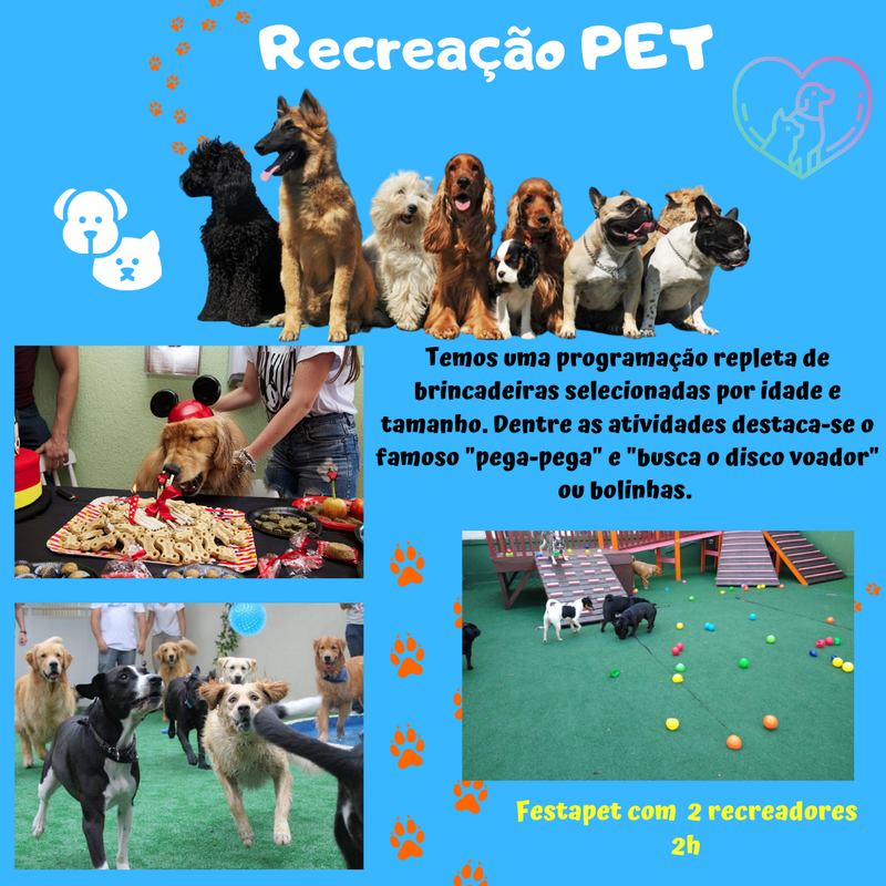 RECREAÇÃO PET