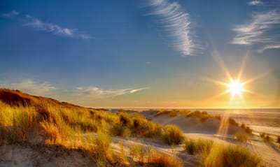 Endlich mal Nordsee