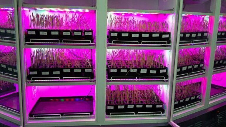 حماية المحاصيل الزراعية بدون المبيدات الكيميائية !