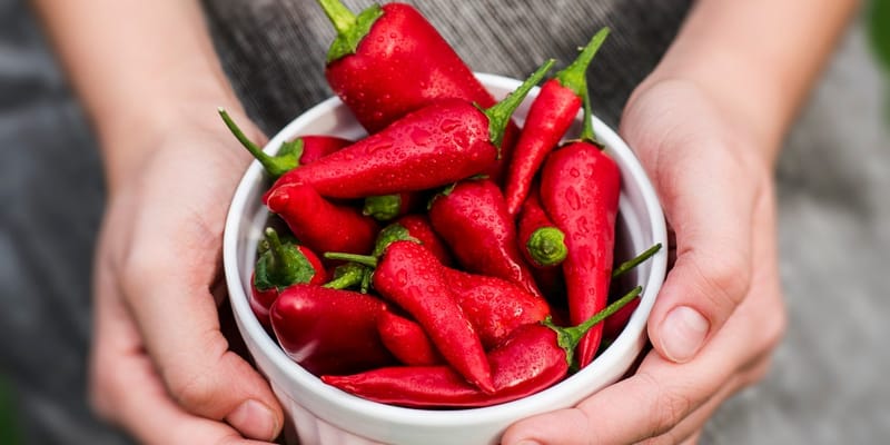 5 أطعمة ومشروبات تعزز التمثيل الغذائى وتساعدك على إنقاص الوزن