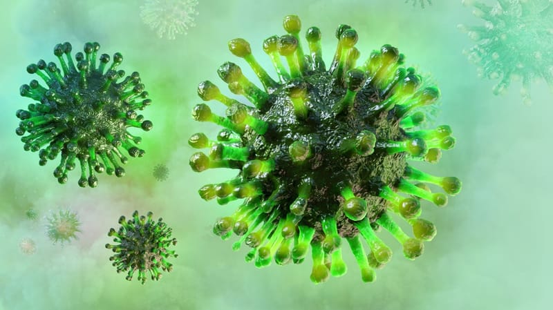 الأطباء الصينيون يستخدمون الطحالب لعلاج "كوفيد - 19"