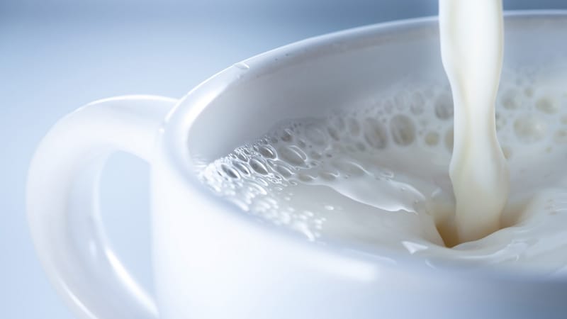 Schädigt das Trinken von viel Milch den Körper?