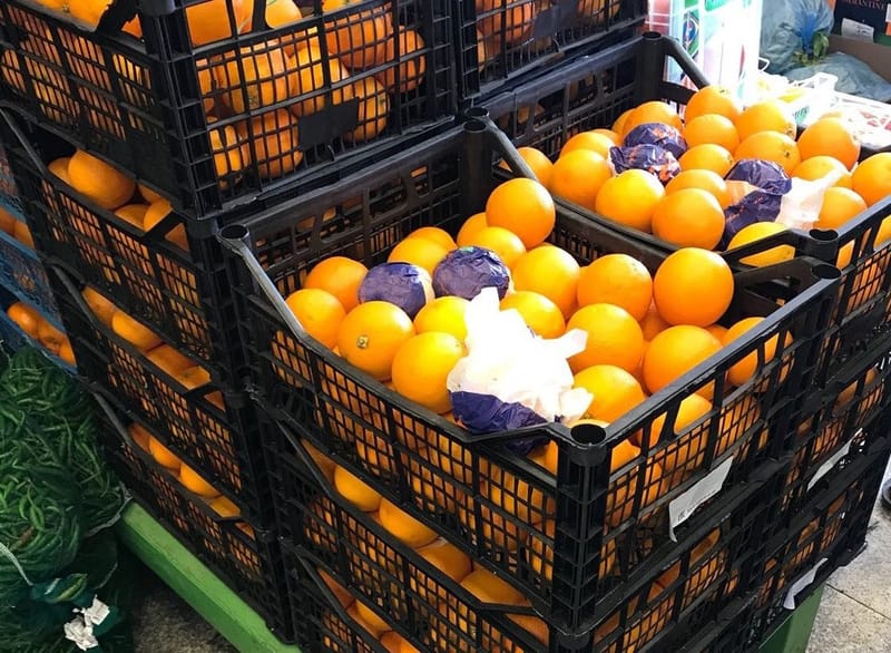 مصري يصدر البرتقال لـ 57 دولة