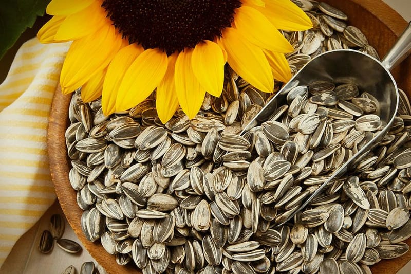 Erfahren Sie mehr über die Vorteile von syrischem Fruchtfleisch. Die wichtigsten davon sind die Stärkung der Immunität und die Verringerung des Krebsrisikos