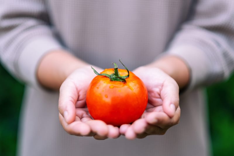 Nützliche gesunde Lebensmittel für Männer und Frauen über vierzig ... vor allem Tomaten und Hafer