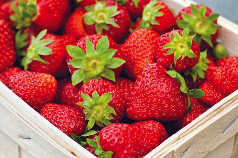 صادرات الفواكه المصرية تتجاوز 2 مليار جنيه خلال شهر