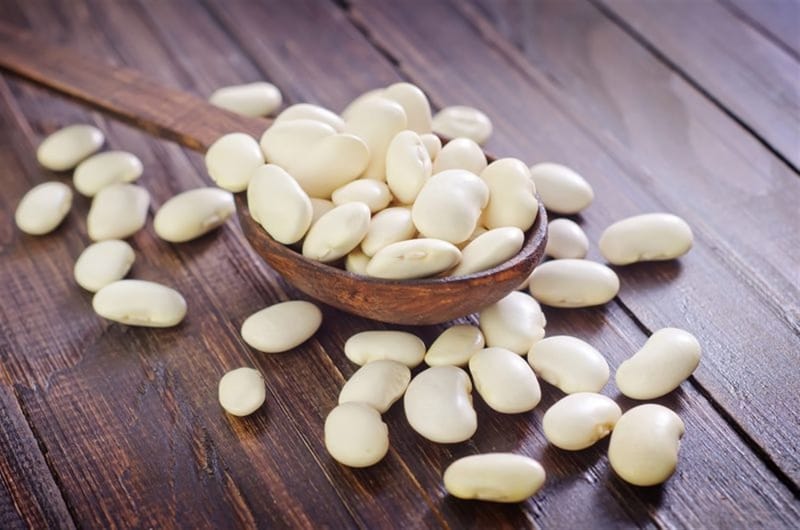 A nutritionist talks about the benefits of adding beans to the daily diet الغذائي