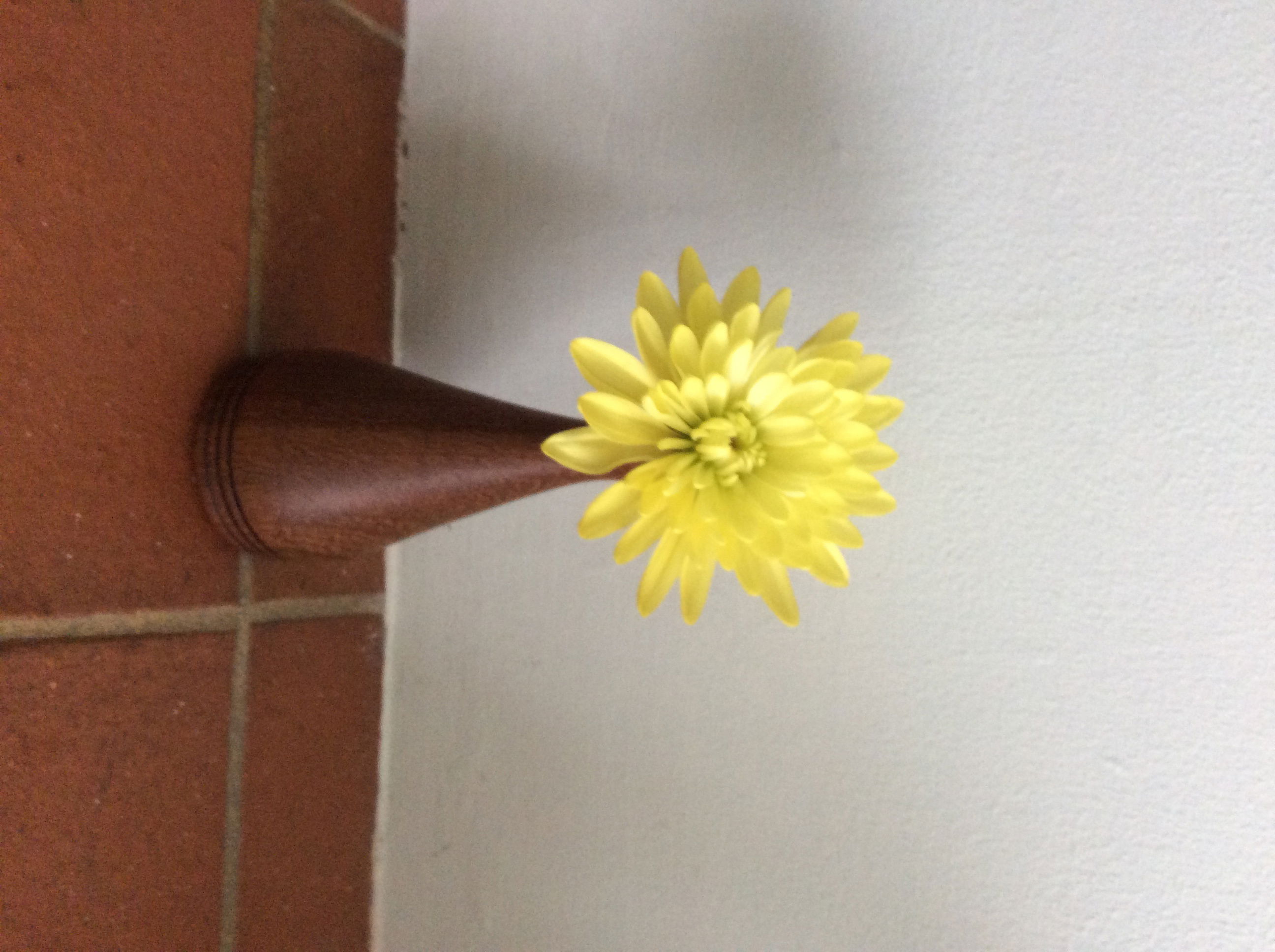 Dried flower vase