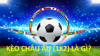 Giai thich keo 1x2 trong bong da chi tiet