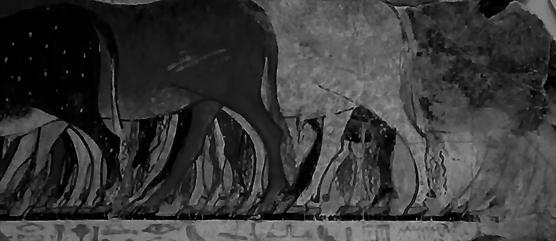 Some wall paintings from the Tomb-chapel of Nebamun - Room 61, The British Museum, London: