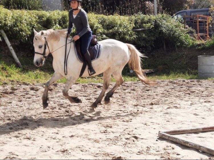 Galice Toul Ar C'hoat