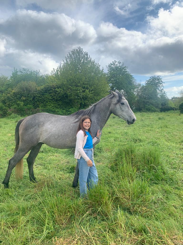 Javar toul ar c'hoat (VENDU)