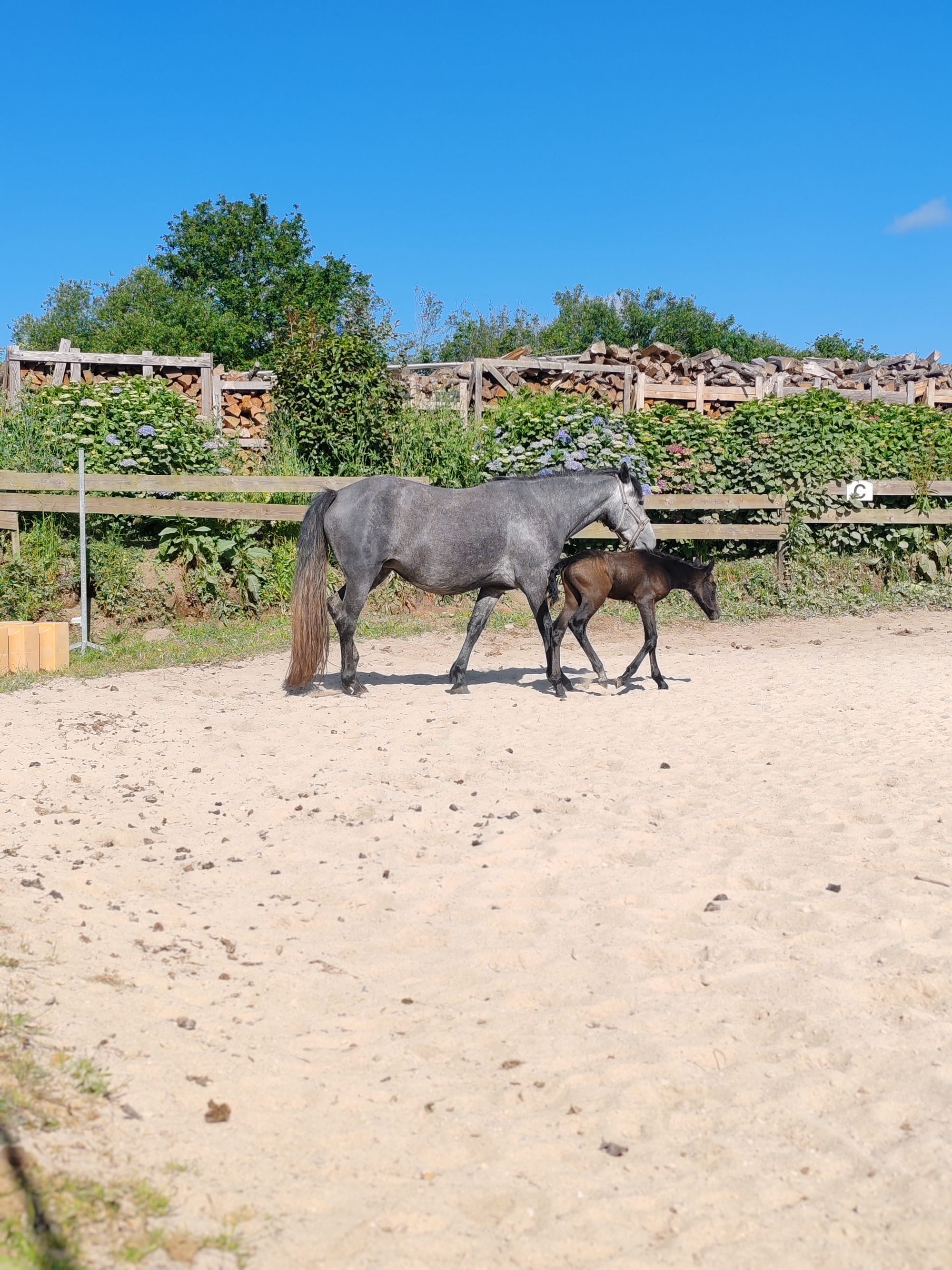 kentila Toul Ar C'hoat