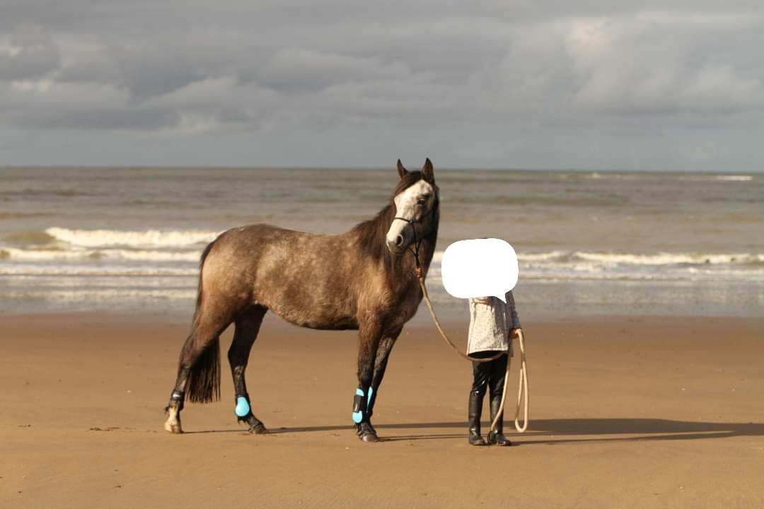 kaïna Toul Ar C'hoat (vendue)