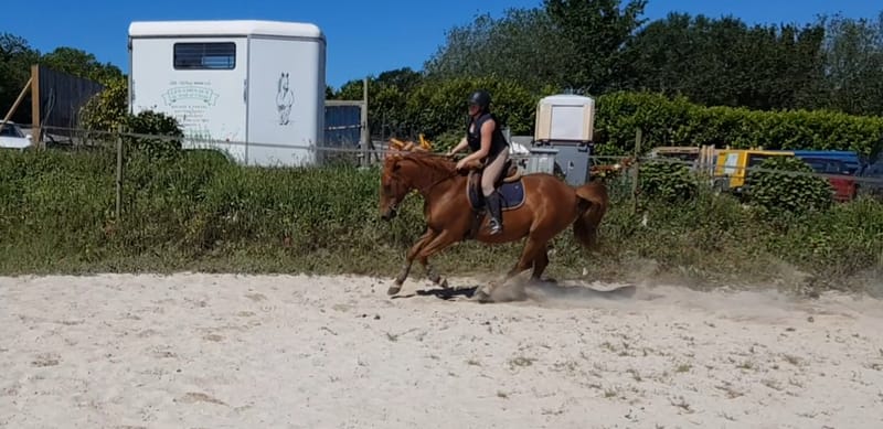 cours particulier 1h