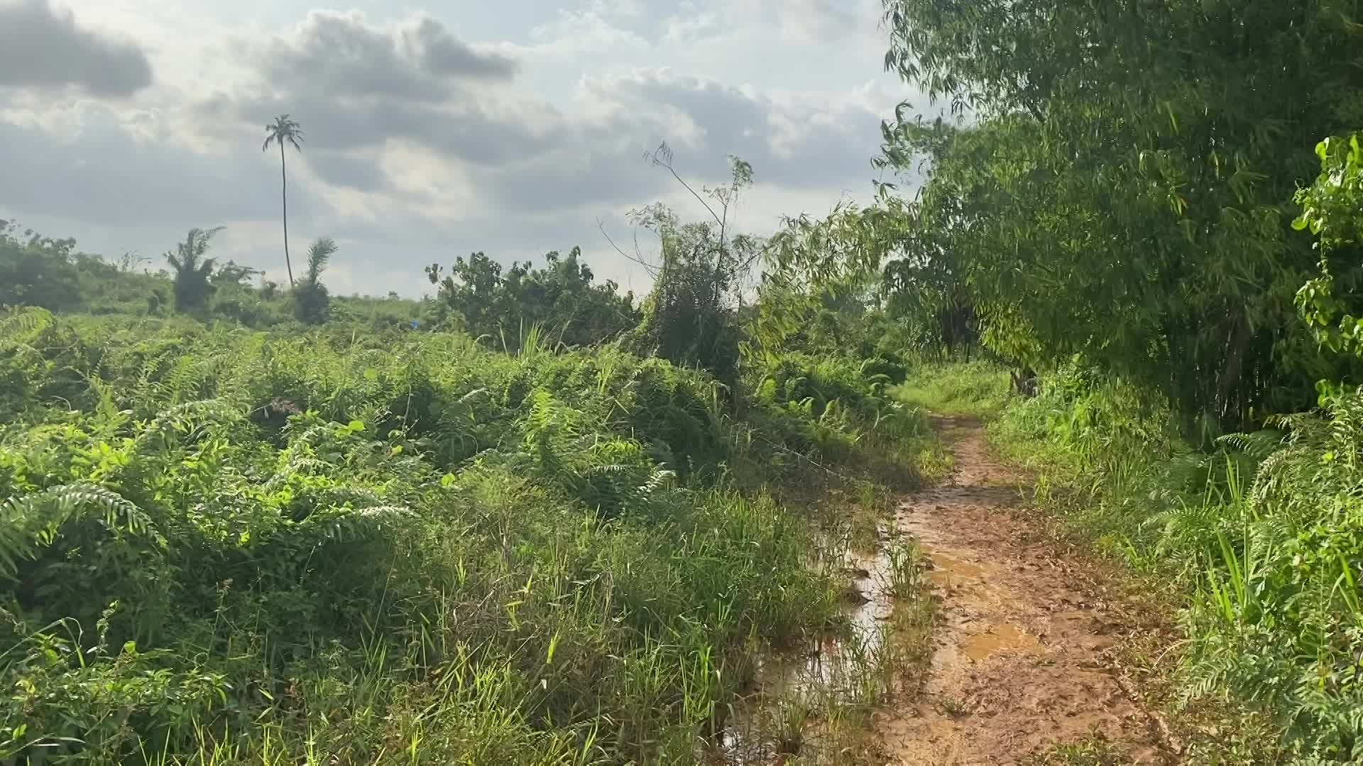 COMING SOON:    Djebe Citi Verte - Cocody,  Abidjan, Cote d'Ivoire