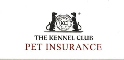 KC INSURANCE image