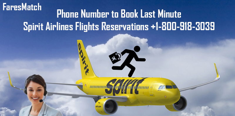 Phone Number to Book Last Minute Spirit Airlines Flights Reservations |+1-800-918-3039|