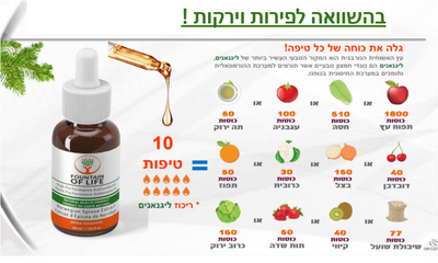 הסוד שבמוצר - חיזוק המערכת החיסונית image