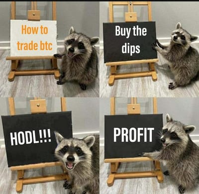 How to Trade Crypto as a Beginner and Make Money in 3 Steps