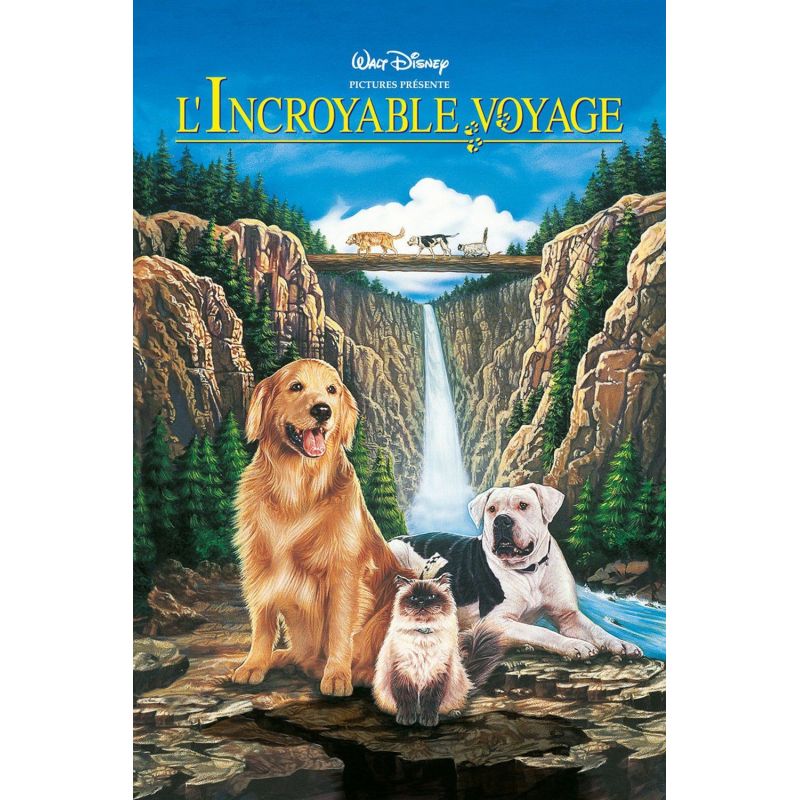 CINEMA | l’incroyable voyage II: à San Francisco | Maputo