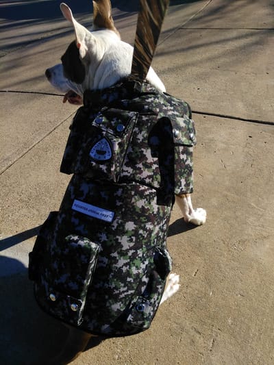 Benefits of using the Best Tactical Vest for Dogs