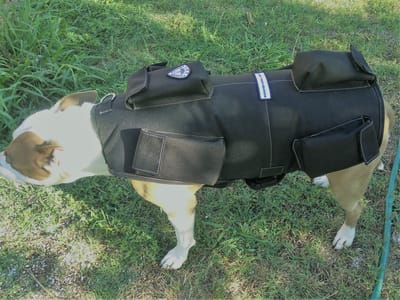 What Should You Know About Dog Weight Vest?