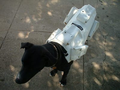 Shop For The Best Quality Dog Weight Harness Online