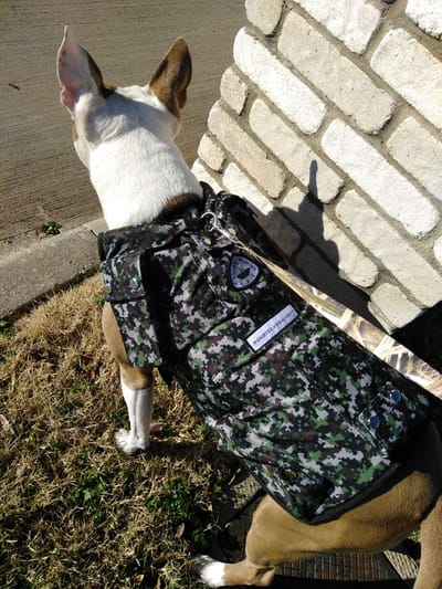 Online Stores For Dog Weights Vest Muscle – Choose The Best